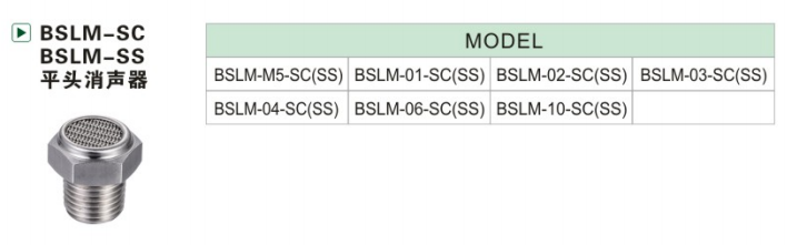 BSLM-SC-SS