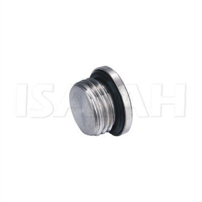 BP-G-SC G-thread 304 Satinless Steel Plug