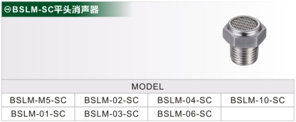 BSLM-SC