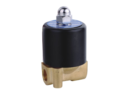 2W-025-08 1/4" Solenoid Valve