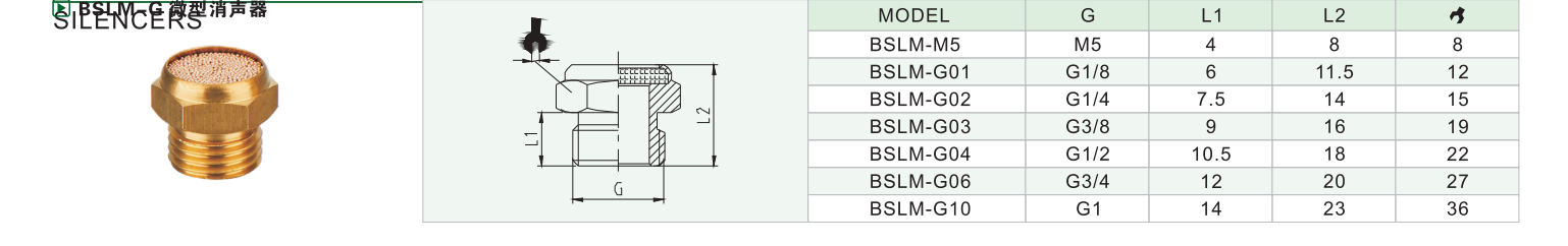 BSLM-G 微型消声器