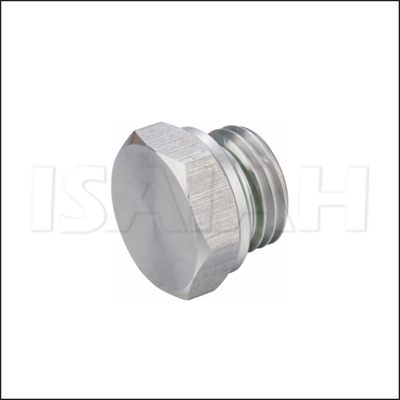 BZ-G-SC 304 Stainless Steel G Male Thread Hexagonal Plug
